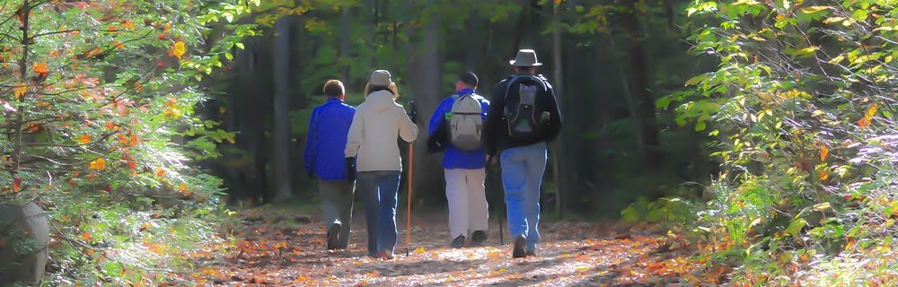 Principali motivi di scarsa adesione al trattamento antidiabetico