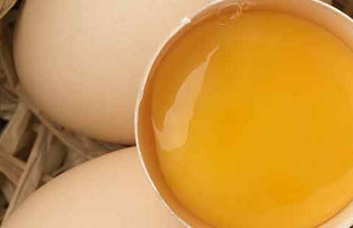 UUova e Salute: Alleate o Alimento da Evitare? - Diabete.com
