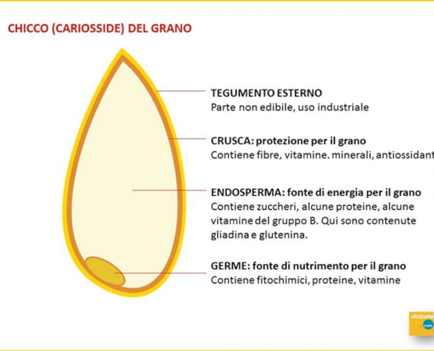 Cereali Integrali vs. Cereali Raffinati: Elenco e Differenze - Diabete.com Cereali Integrali vs. Cereali Raffinati: Elenco e Differenze - Diabete.com