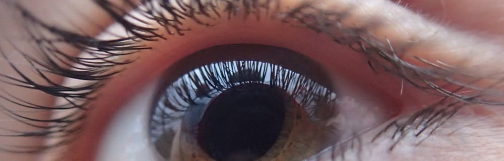 Screening della retinopatia diabetica: prima esperienza italiana di telemedicina