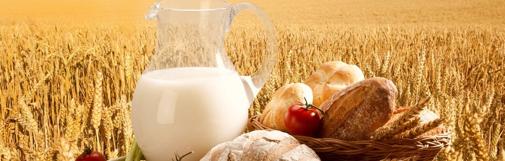 Diagnosi Intolleranza al Lattosio, Celiachia e Diabete FAQ - Diabete.com