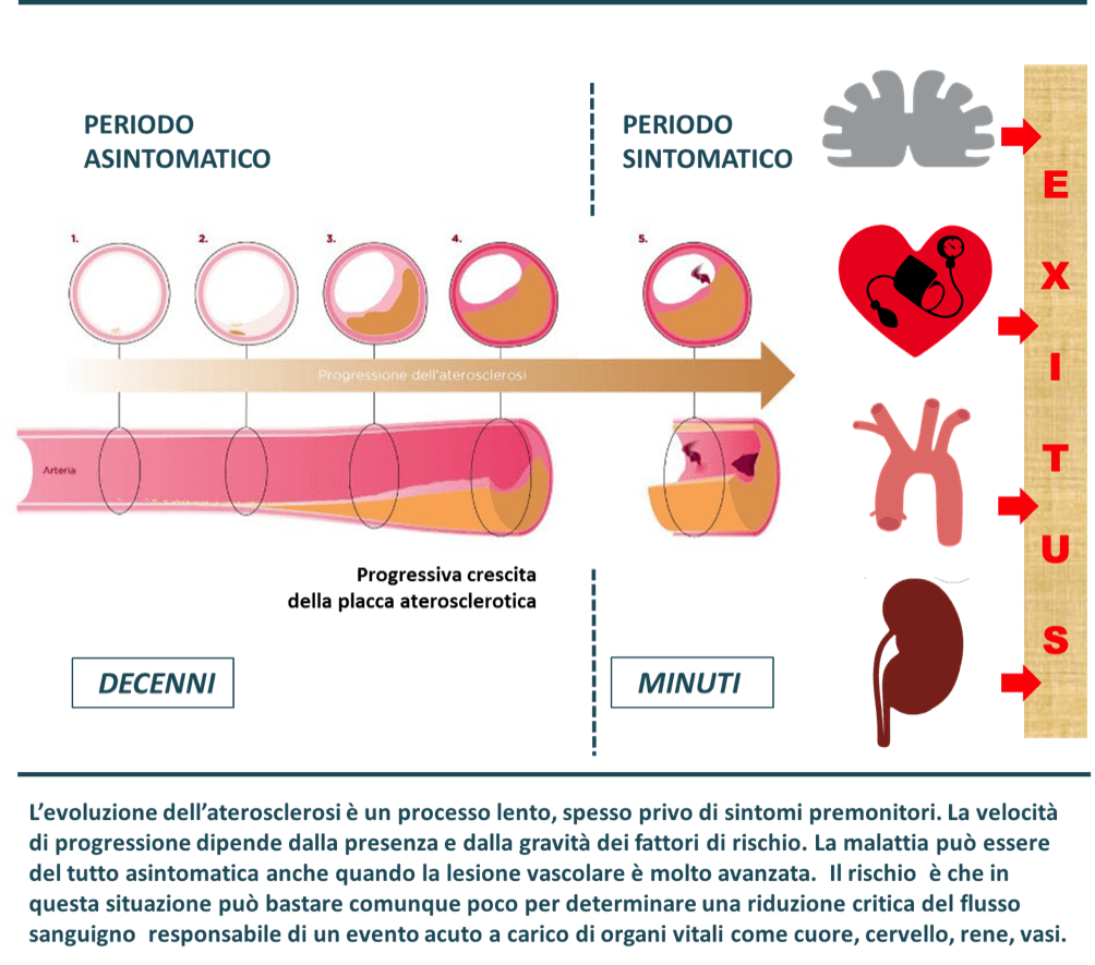 Diabete e colesterolo alto: conseguenze e danni Diabete e colesterolo alto: conseguenze e danni