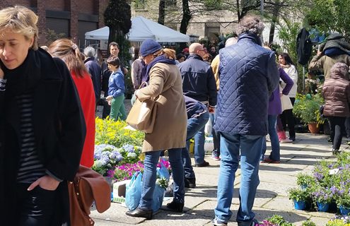 Diabete e obesità (diabesità): malattie sociali dal notevole impatto