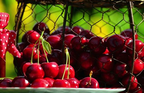Ciliegie: seducenti, gustose e …. ricche di antiossidanti