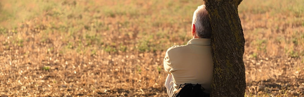 Carenza di vitamina D: sorvegliata speciale per osteoporosi, artrosi e sarcopenia