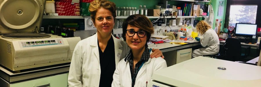 Diabete tipo 2, obesità e immunometabolismo: al San Raffaele DRI in corso una ricerca d’avanguardia