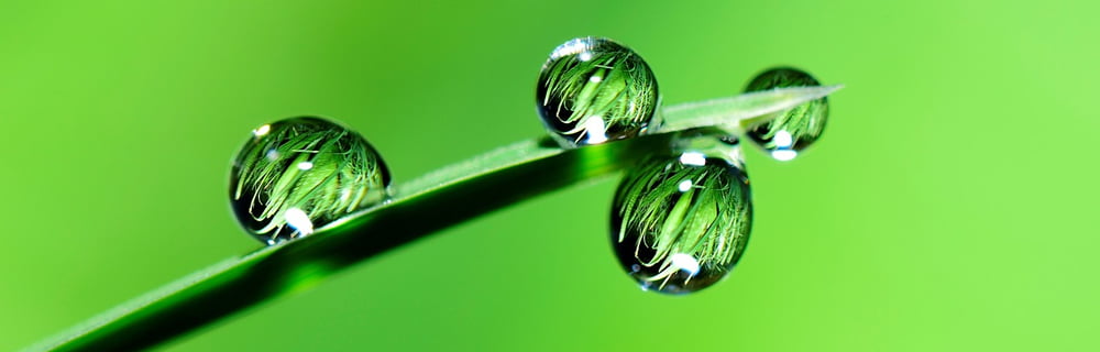 Diabete di tipo 2, obesità e incontinenza urinaria