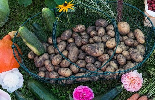 Gli “Orti della Salute” nelle città, per prevenire obesità e diabete