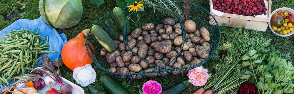 Gli “Orti della Salute” nelle città, per prevenire obesità e diabete