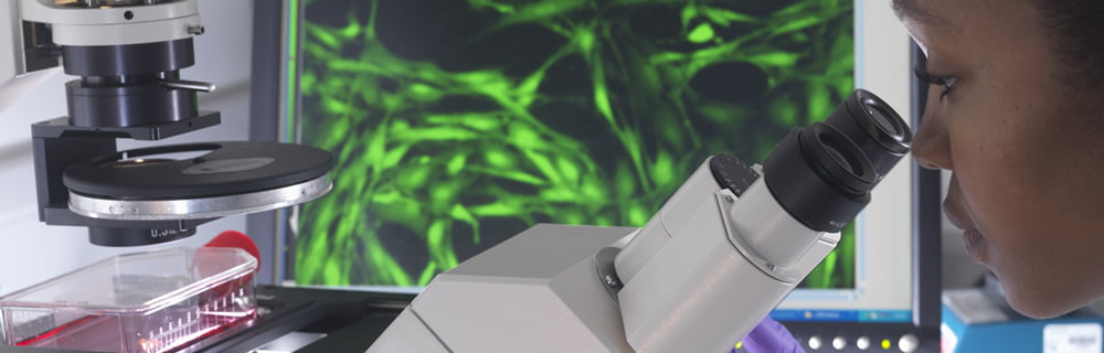 La ricerca italiana in diabetologia: tante eccellenze, pochi finanziamenti