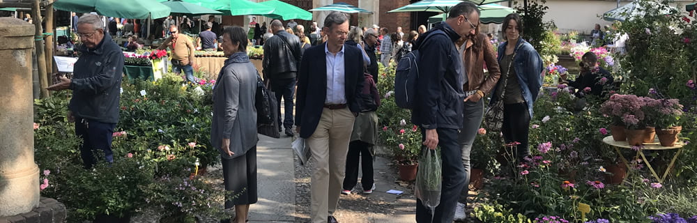 Grasso dell’epicardio: vittima silenziosa dell’iperglicemia - Diabete.com