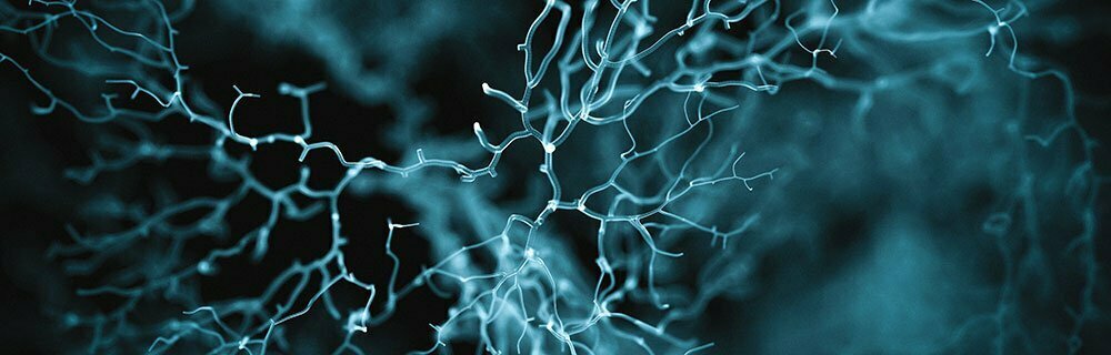 Intelligenza Artificiale. Chiariti alcuni meccanismi iniziali coinvolti nello sviluppo dell’Alzheimer