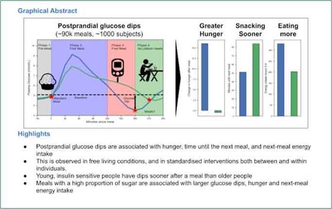 Monitoraggio glucosio: efficace nel descrivere il nostro appetito - Diabete.com Monitoraggio glucosio: efficace nel descrivere il nostro appetito - Diabete.com