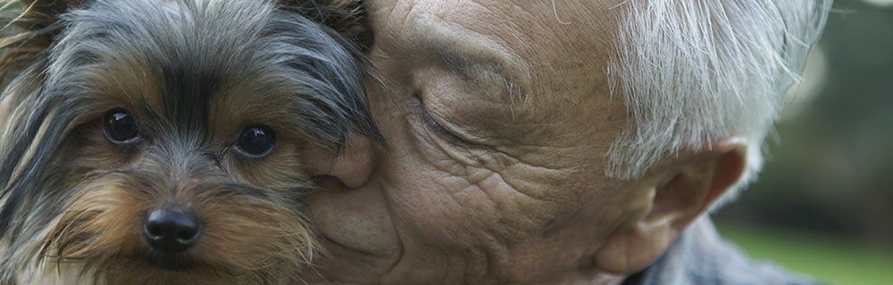 Festa dei Nonni ’23: adottare un cucciolo può far bene alla salute