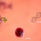 Immunostem, in studio la nuova frontiera contro il diabete tipo 1